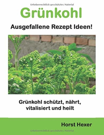 Grünkohl - Ausgefallene Rezept Ideen: Grünkohl schützt, nährt, vitalisiert und heilt - 1