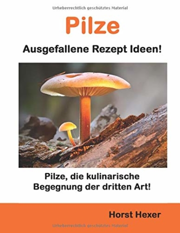 Pilze - Ausgelallene Rezept Ideen: Pilze, die kulinarische Begegnung der dritten Art! - 1